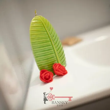 Coral 5 For 2 Pax Wi-fi Free -by Easylife Swiss Лугано